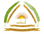 Universidad Nacional del Este logo