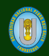 Universidad Nacional Pedro Ruiz Gallo logo