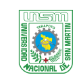 Universidad Nacional San Martin Peru logo