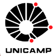Universidade Estadual de Campinas logo