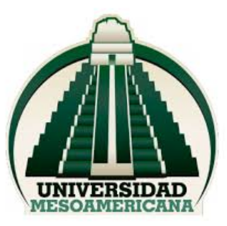 University Mesoamerican logo