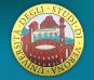 Verona University logo