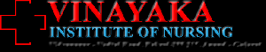 Vinayaka Institute of Nursing logo