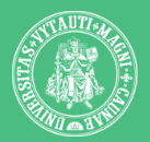 Vytautas Magnus University logo